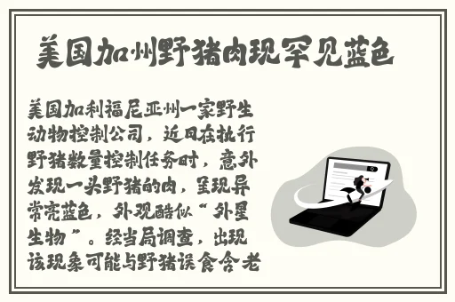 唐三吃宁荣荣两座山的APP